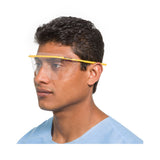 SafeView Replacement Lens (547416_EA) 1/EA