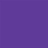 Delta-Lite® Plus Cast Tape 2 Inch X 12 Foot Fiberglass / Resin Purple (653388_BX) 10/BX