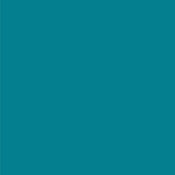 3M™ Littmann® Lightweight II S.E. General Exam Stethoscope Caribbean Blue 1-Tube 28 Inch Tube Double Sided Chestpiece (466398_EA) 1/EA