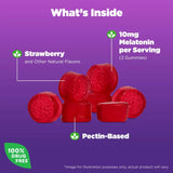 Natrol Inc Natural Sleep Aid 90 per Bottle (1247940_BT) 1/BT