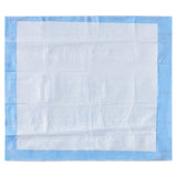 Wings™ Quilted Premium Comfort Disposable Underpad 30 X 36 Inch Airlaid Heavy Absorbency (772827_BG) 10/BG