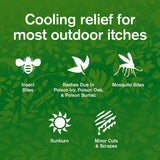 Benadryl® Itch Relief 2% Strength Gel 3.5 oz. Tube (874402_EA) 1/EA