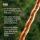 Brazos™ Traveler Walking Stick Wood 55 Inch Height Red Sweet Gum (1237890_EA) 1/EA