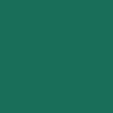 Arkwright Home® Cooks Linen Dishcloth 12x12 Green, 12/Pack (DISH-GREEN) Pack of 12