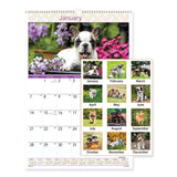 AT-A-GLANCE® Puppies Monthly Wall Calendar, Puppies Photography, 15.5 x 22.75, White/Multicolor Sheets, 12-Month (Jan to Dec): 2026 (AAGDMW16728) Each