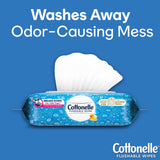 Cottonelle® FreshCare® Flushable Personal Wipe Soft Pack Scented 42 Count (1234280_CS) 504/CS