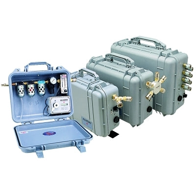 Allegro Carry-Air w/CO Monitor Systems, 2 Worker (037-9872) Each