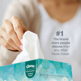 Kleenex® Junior Facial Tissue White 48 Count (1223568_BX) 1/BX