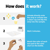 Clinistix™ Urinalysis Test Kit Urinary Tract Infection Detection 5 Tests per Kit CLIA Waived (1244782_KT) 1/KT