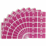 Smead AlphaZ Color-Coded Second Letter Alphabetical Labels, E, 1 x 1.63, Purple, 10/Sheet, 10 Sheets/Pack (SMD67175) Pack of 100