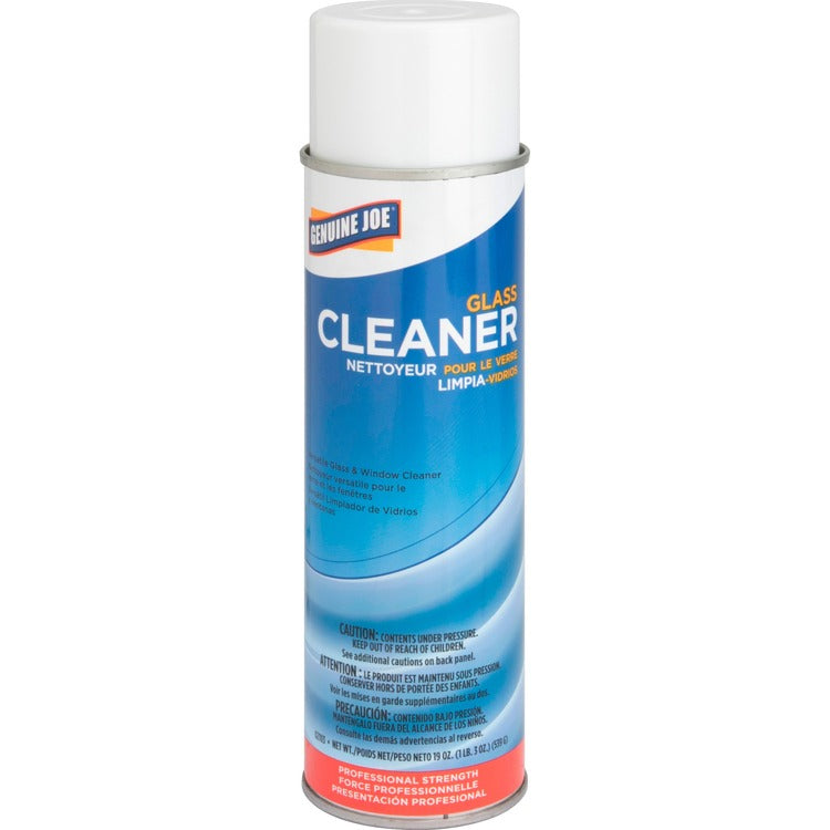 Genuine Joe Aerosol Glass Cleaner, 19 oz. (GJO02103)