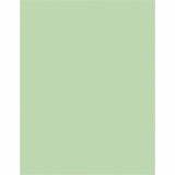 Sparco Premium Grade Pastel Color Copy Paper, Letter, 8 1/2" x 11", 20 lb, Green, 10 Reams/Carton (SPR05123CT) Case of 5000