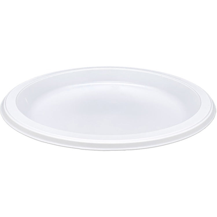 Genuine Joe 10-1/4" Large Plastic Plates, 10.25" Diameter Plate, Plastic Plate, White (GJO10323)