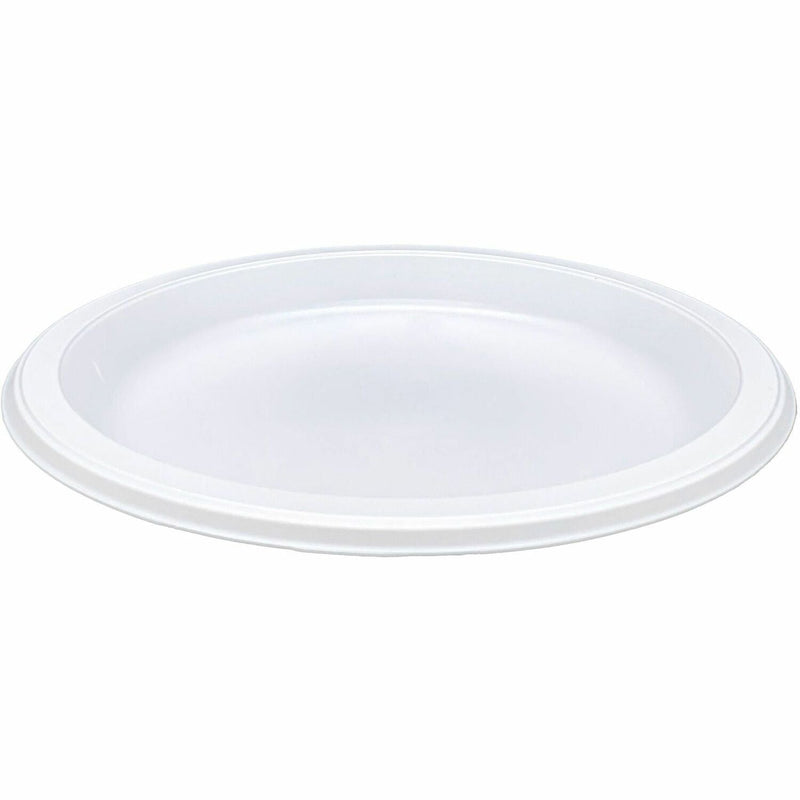 Genuine Joe Reusable Plastic White Plates, 9" Diameter Plate, Plastic, White (GJO10329) Pack of 125