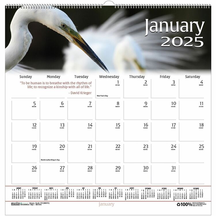 House of Doolittle Recycled Wildlife Scenes Monthly Wall Calendar, 12 x 12, January 2026 to December 2026 (HOD3731) Each