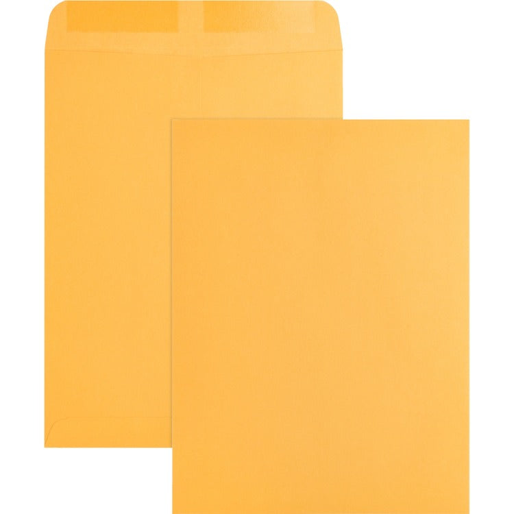 Business Source Catalog Envelope, 9&quot; x 12&quot;, 2Kraft (BSN42100) Pack of 250