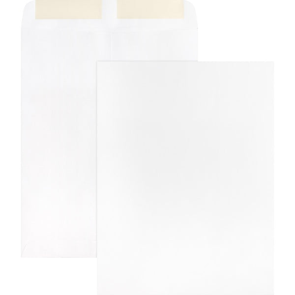 Business Source Catalog Envelopes, Plain, 28Lb., 9&quot; x 12&quot;, 250 Pack, White (BSN42102) Pack of 250
