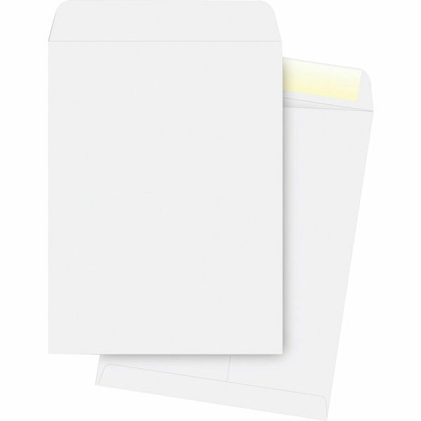 Business Source Catalog Envelopes, Plain, 28Lb., 10&quot; x 13&quot;, 250 Pack, White (BSN42103) Pack of 250