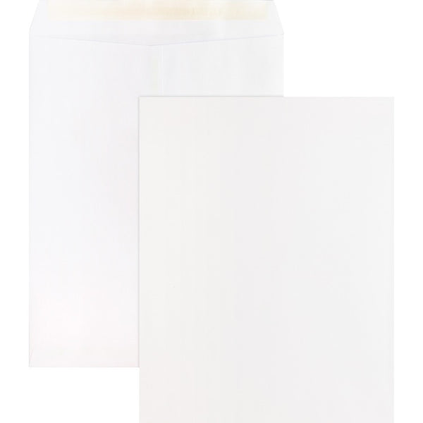 Business Source Catalog Envelopes, Removable Strip, 10&quot; x 13&quot;, White (BSN65451) Pack of 100