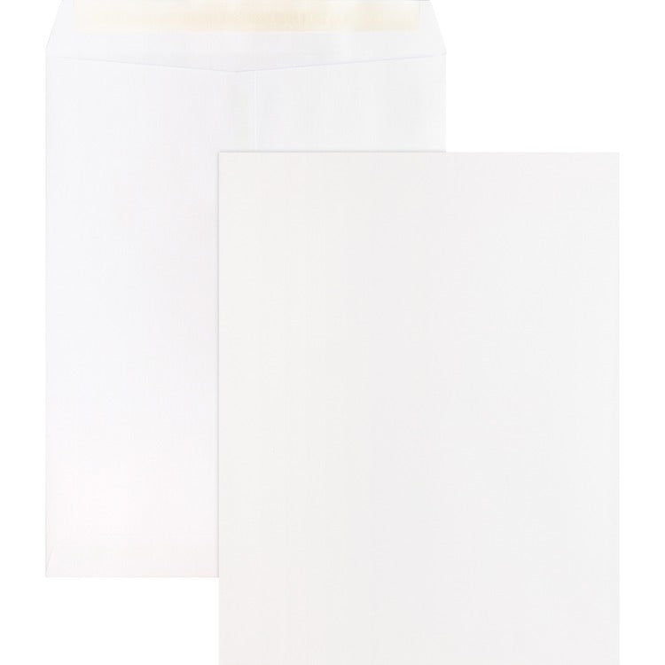 Business Source Catalog Envelopes, Removable Strip, 10&quot; x 13&quot;, White (BSN65451) Pack of 100