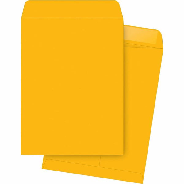 Business Source Catalog Envelopes, Plain, 9-1/2" x 12-1/2", 250/Box, Kraft (BSN42114) Box of 250