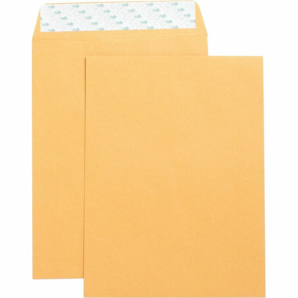 Business Source Catalog Envelopes, Self Seal, Plain, 9" x 12", 250/Box, Kraft (BSN42120) Box of 250