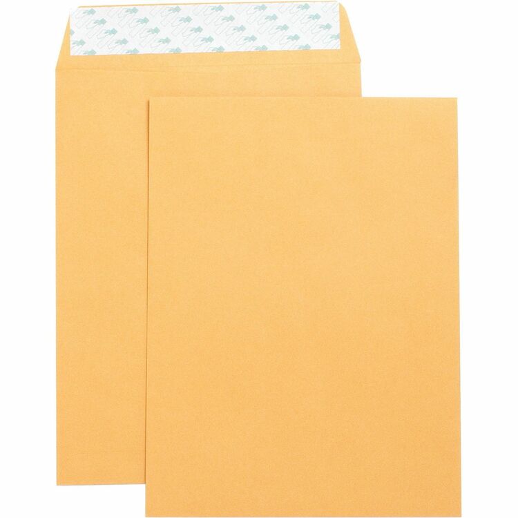 Business Source Catalog Envelopes, Self Seal, Plain, 9" x 12", 250/Box, Kraft (BSN42120) Box of 250