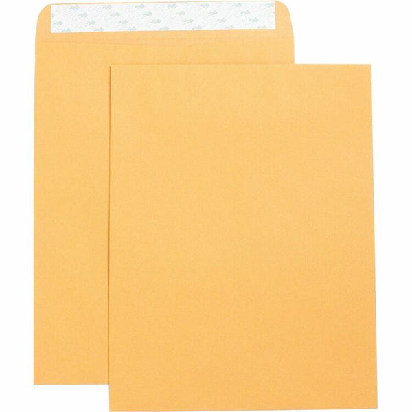 Business Source Catalog Envelopes, Self Seal, Plain, 10" x 13", 250/Box, Kraft (BSN42121) Box of 250