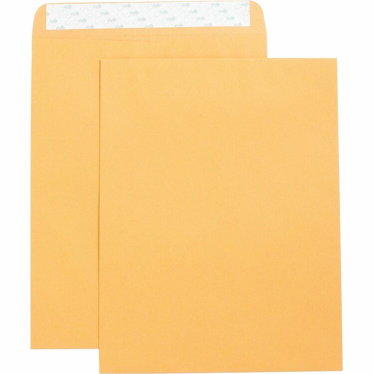 Business Source Catalog Envelopes, Self Seal, Plain, 10" x 13", 250/Box, Kraft (BSN42121) Box of 250