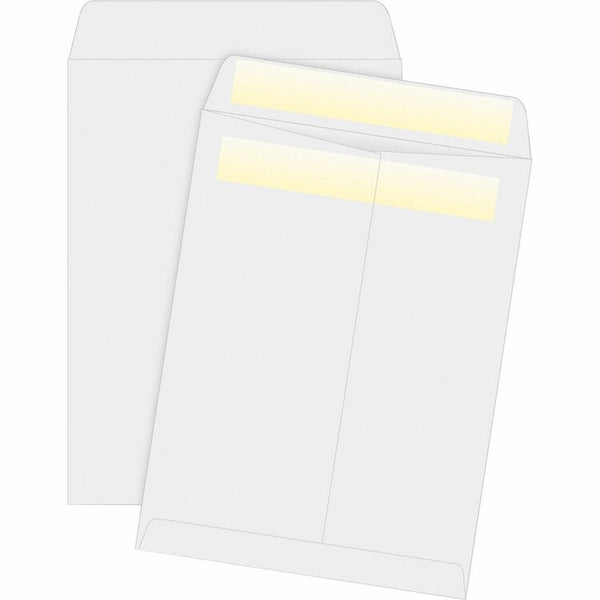 Business Source Press/Seal Cat Envelope, Plain, 28lb., 10" x 13", 100/BX, White (BSN04649) Box of 100