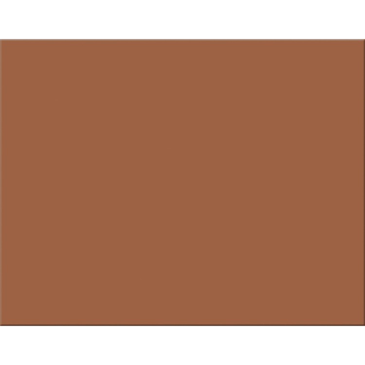 Pacon Four-Ply Railroad Board, 22 x 28, Brown 25/Carton (PAC54691) 25 Sheets