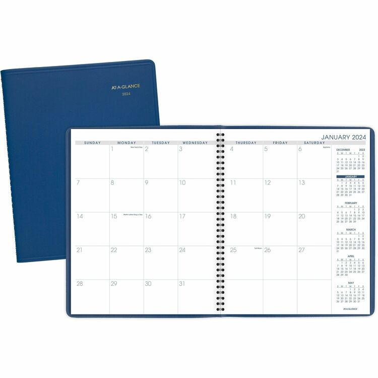 At-A-Glance Monthly Appointment Book, 9"x11", Blue (AAG7025020)