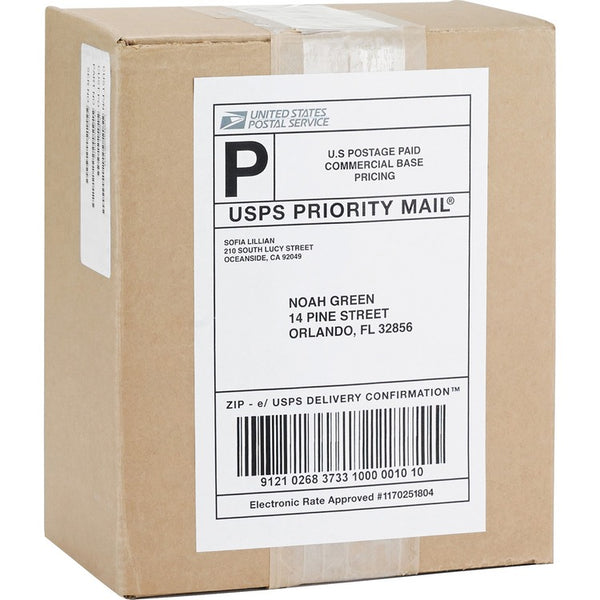 Business Source Mailing Laser Labels, Perm Adhesive, 5-1/2" x 8-1/2", White (BSN26161) Box of 200