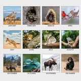 House of Doolittle Wildlife Photo Desk Top Tent Calendar, Julian Dates, 12 Month, January 2027 to December 2027, 4.5" x 8.5"  (HOD3689) Each