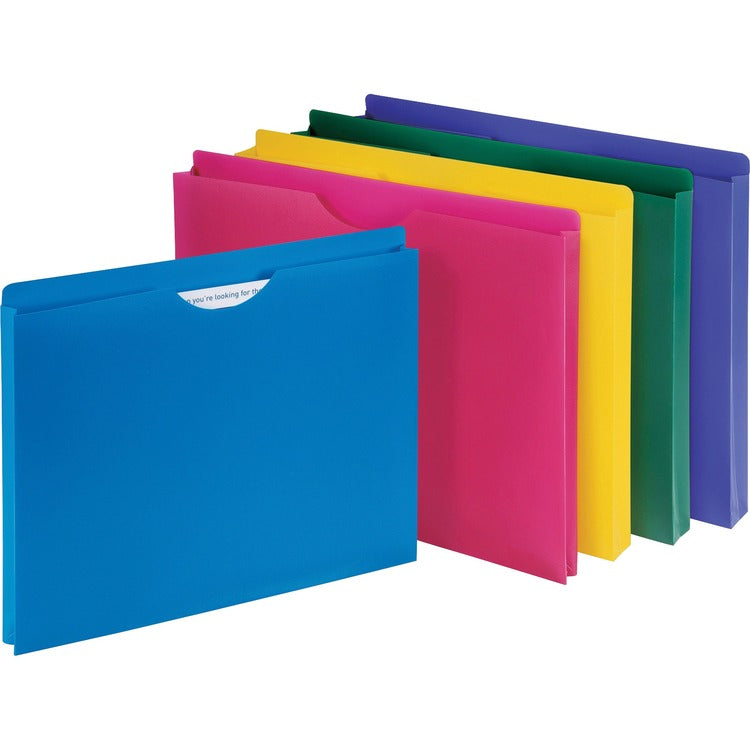 Business Source File Folder, Poly, Letter, 10/PK, Assorted (BSN44435) Pack of 10