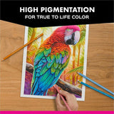 Prismacolor Under Sea Coloured Pencil Set, 12/Pack (SAN2023752) Pack of 12