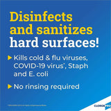 CloroxPro™ Anywhere Daily Disinfectant and Sanitizer, 32 fl oz, 12/Carton, 216 Bottles/Bundle (CLO01698BD) 216 Bottles