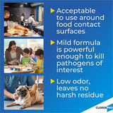CloroxPro™ Anywhere Daily Disinfectant and Sanitizer, 32 fl oz, 12/Carton, 216 Bottles/Bundle (CLO01698BD) 216 Bottles