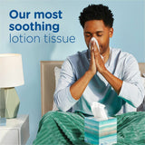 Puffs Plus Lotion Facial Tissue, 2 Ply, 8.20" x 8.40", White, 124/Box, 6/Pack (PGC39383PK) Pack of 6