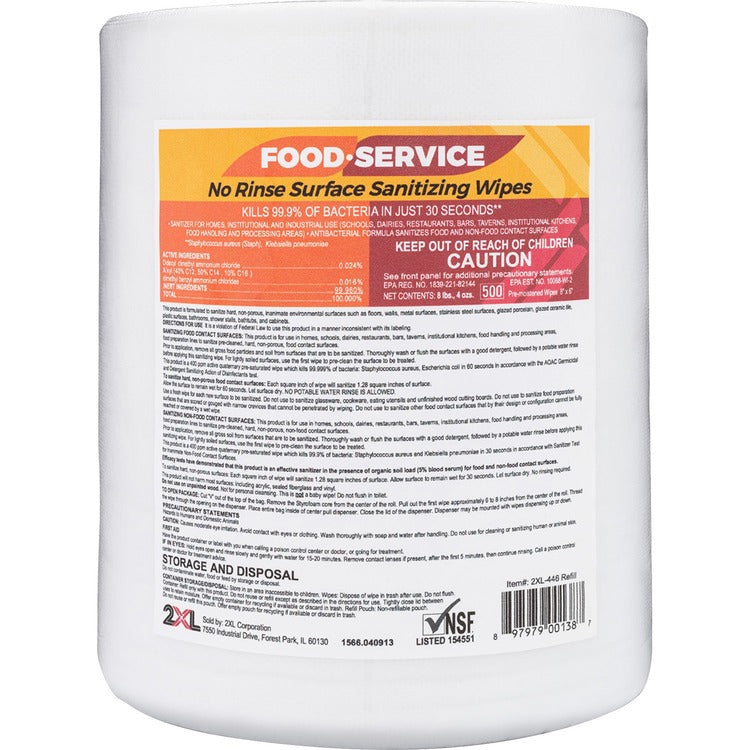 2XL CareWipes Surface Sanitizing Wipes, 10 x 10, 500/Bag, 2/CT (TXL446) Each