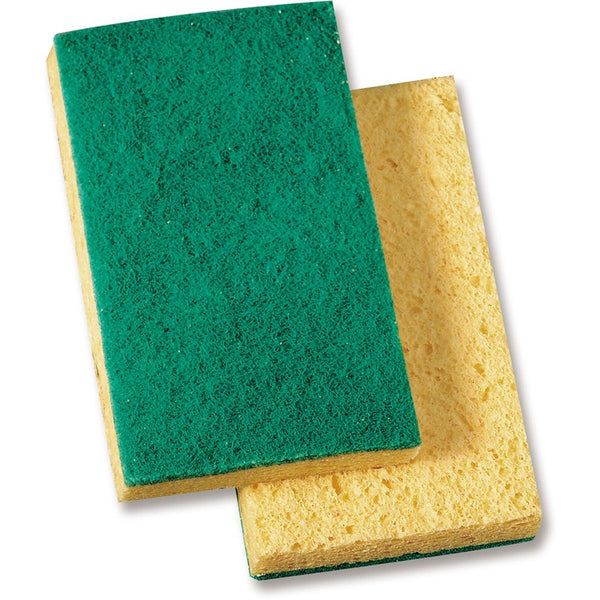 Genuine Joe Medium-Duty Sponge Scrubber - 3.5" x 3.5" Depth - 20/Carton - Cellulose - Green, Yellow (GJO18389)