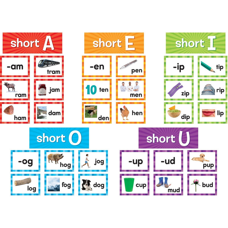 Teacher Created Resources Short Vowels Pocket Chart Cards - Skill Learning: Short Vowels - 205 Pieces (TCR20850) Each