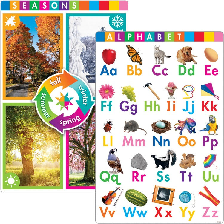 Trend Early Fundamental Skills Learning Posters - 10.8" Width - Multi (TEPT19010)