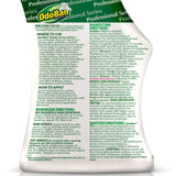 OdoBan Eucalyptus Deodorizer Disinfectant Spray (ODO910062Q12) Each