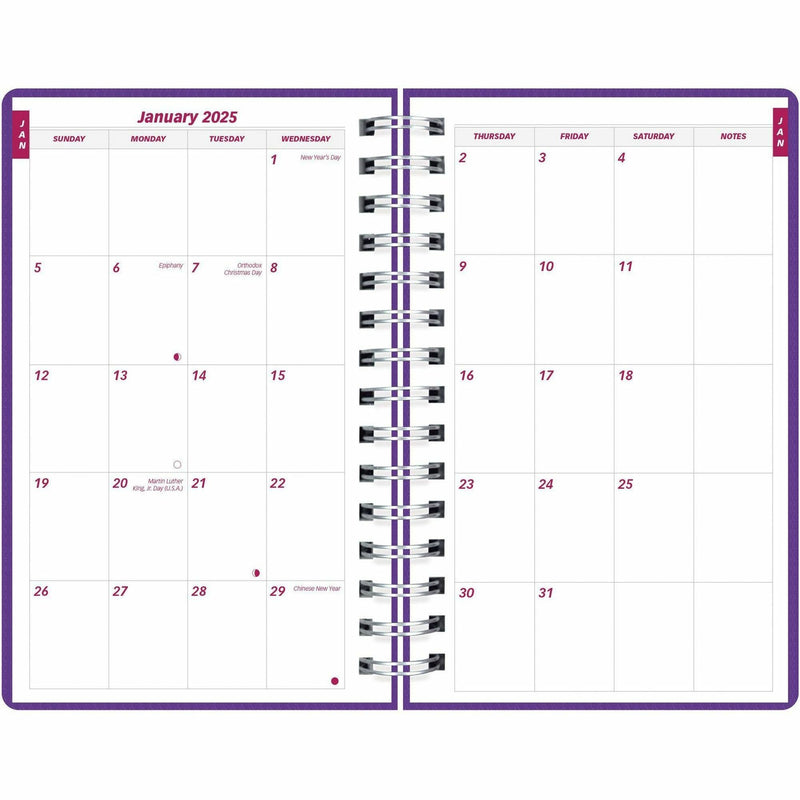 Brownline DuraFlex Daily Appointment Planner, Daily, Monthly, 12 Month, January 2026 to December 2026 (REDCB634VPUR) Each