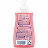 Dial Antibacterial Hand Soap, Pomegranate & Tangerine Scent, 11 fl oz (DIA20943EA) Each