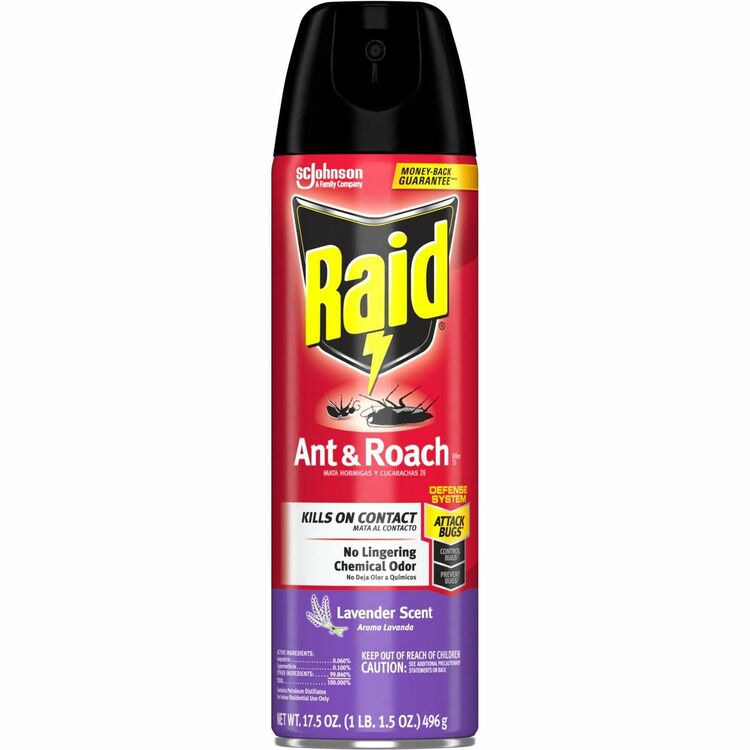 Raid Ant & Roach Killer Spray (SJN365982) Each