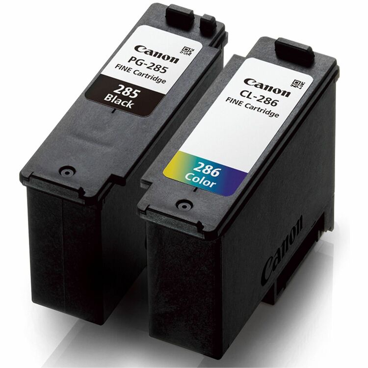 Canon Original Inkjet Ink Cartridge, Black, Color, 2/Pack, 7.3 mL, 9.9 mL (CNM6197C004) Pack of 2