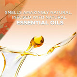 Air Wick Apple Scented Oil, Oil, 0.6 fl oz, Apple Cinnamon Medley, 60 Day, 2/Pack (RAC95499PK) Pack of 2