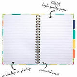 Pukka Pads B5 Colour Wash Project Book, 0.31" Ruled, 6 59/64" x 9 27/32", Gold Binding, Color Wash, Llama, Stripe Cover, 3/Pack (PKP9032CD) Pack of 3